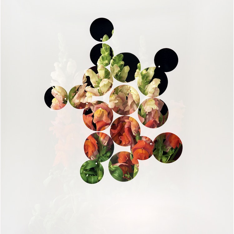 Studio Botanical
